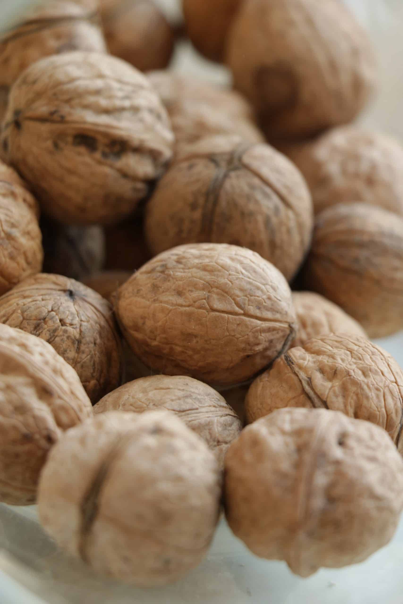 daria-rudyk-HVt7WG9XO6E-unsplash