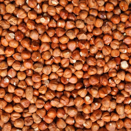 Bio Haselnüsse rohkost