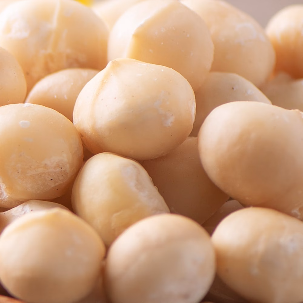 Noix de macadamia crues