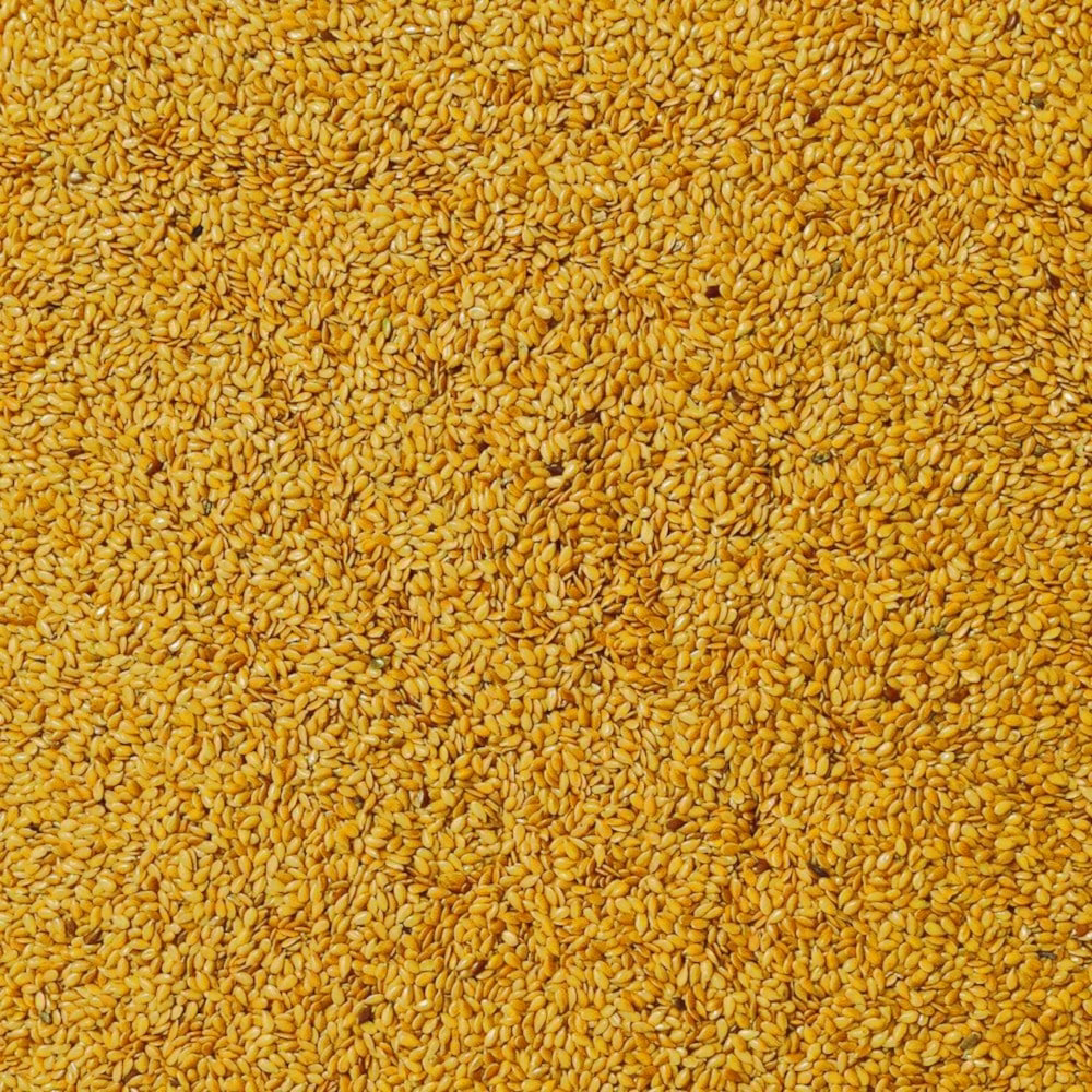 Bio Leinsamen gold rohkost