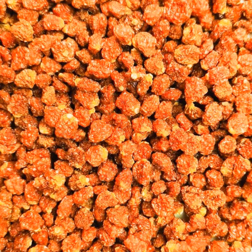 Bio Physalis