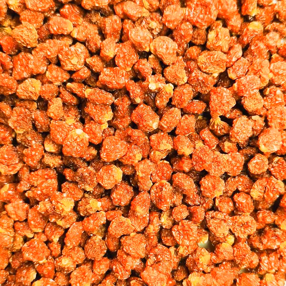 Bio Physalis