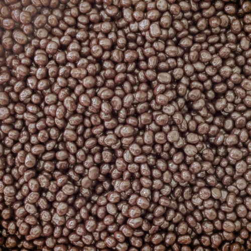 Chocolate coated organic espresso beans