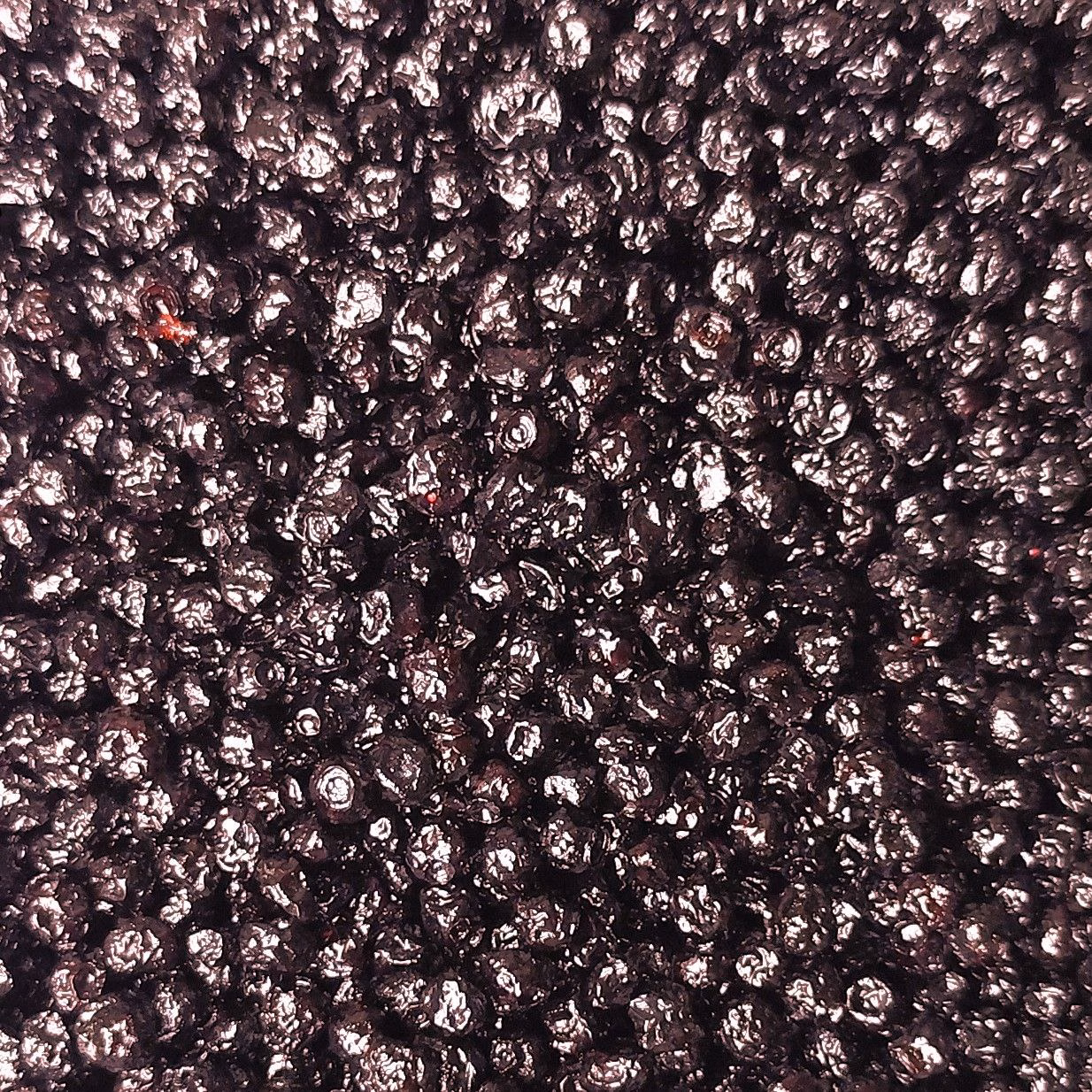 Myrtilles bio séchées